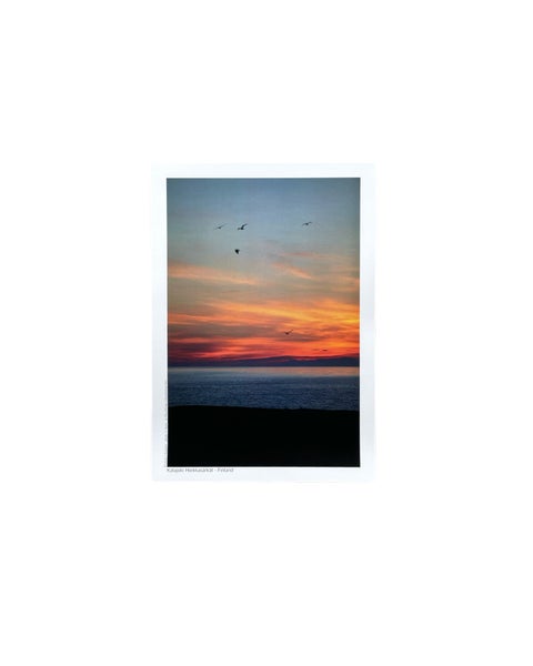 A3 Poster Kalajoki Hiekkas&auml;rk&auml;t, Sunset and birds