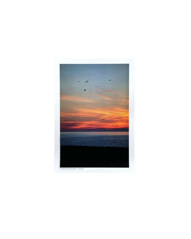 A3 Poster Kalajoki Hiekkas&auml;rk&auml;t, Sunset and birds